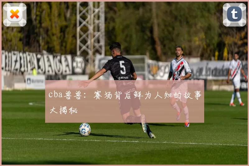 cba兽兽：赛场背后鲜为人知的故事大揭秘